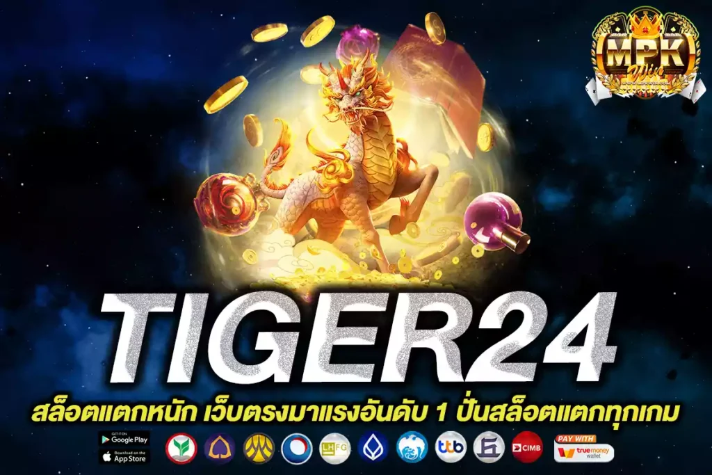 tiger24